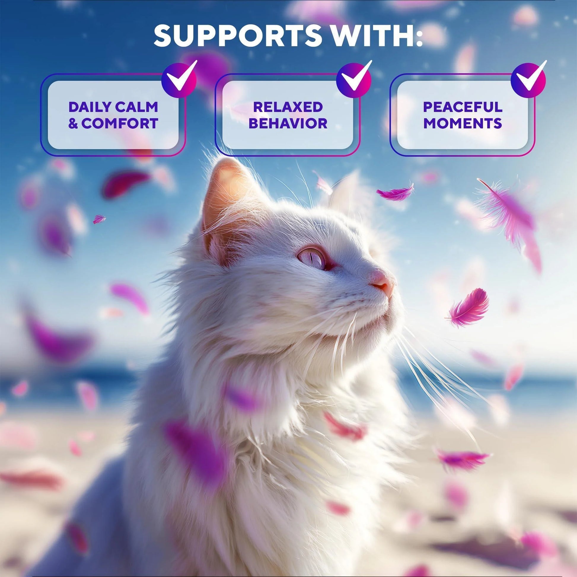 Calming Pheromone Spray Scratch Repellent for Cats 100 Ml 2 Pack Reduces Scratching Furniture Pee during Travel Fireworks Thunder Vet Zone Helps with Stress Fighting Hiding
